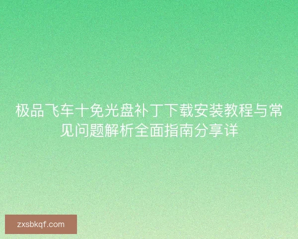 极品飞车十免光盘补丁下载安装教程与常见问题解析全面指南分享详